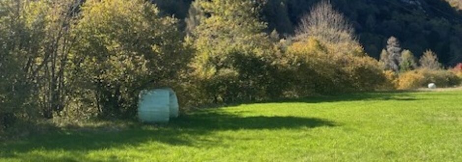 Cronache da Cimolais